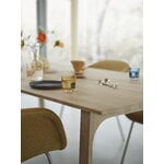 Muuto Tavolo allungabile Earnest, 260 x 100 cm, rovere oliato