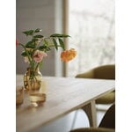 Muuto Earnest extendable table, 205 x 100 cm, oiled oak, decoration image