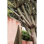ferm LIVING Lull aurinkovarjo, pyökki – oliivinvihreä