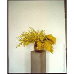 ferm LIVING Water Swirl vase, round, light yellow