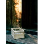 Vaarnii 020 Koppa crate, small, pine, view 15
