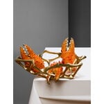 Tom Dixon Bone bowl, small, brass, decoration image
