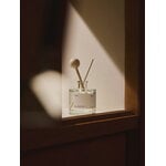 Hetkinen Aelm scent diffuser, 100 ml, decoration image