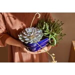 Pidät KUKKA flowerpot, cobalt, decoration image
