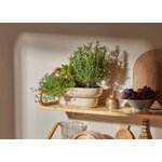 Pidät KUKKA maceta, arena, imagen de decoración
