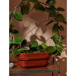Pidät KUKKA flowerpot, brick, decoration image