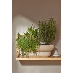 Pidät KUKKA maceta, arena, imagen de decoración