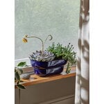 Pidät KUKKA flowerpot, cobalt, decoration image