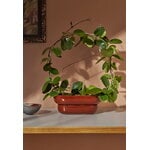Pidät KUKKA flowerpot, brick, decoration image
