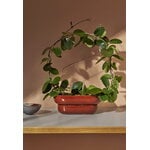 Pidät KUKKA flowerpot, brick, decoration image