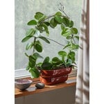 Pidät KUKKA flowerpot, brick, decoration image