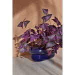 Pidät KUKKA flowerpot, cobalt, decoration image