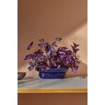 Pidät KUKKA flowerpot, cobalt, decoration image