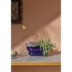 Pidät KUKKA flowerpot, cobalt, decoration image