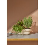Pidät KUKKA maceta, arena, imagen de decoración
