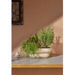 Pidät KUKKA maceta, arena, imagen de decoración