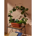 Pidät KUKKA flowerpot, brick, decoration image