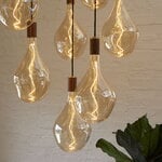 Tala Voronoi III LED bulb 5W E27, dimmable
