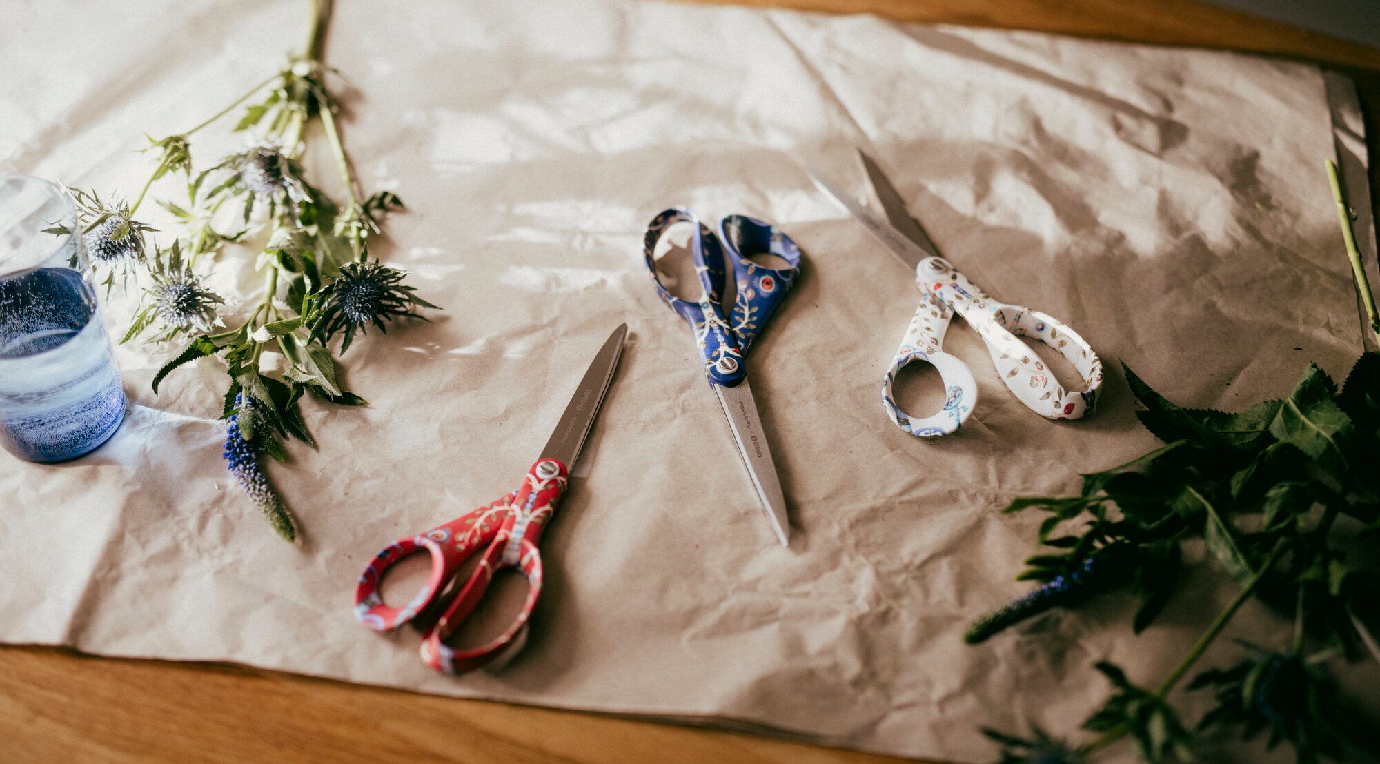 Bordures Pour Papier Pour Enseignant Bordures Décoratives | Scolart