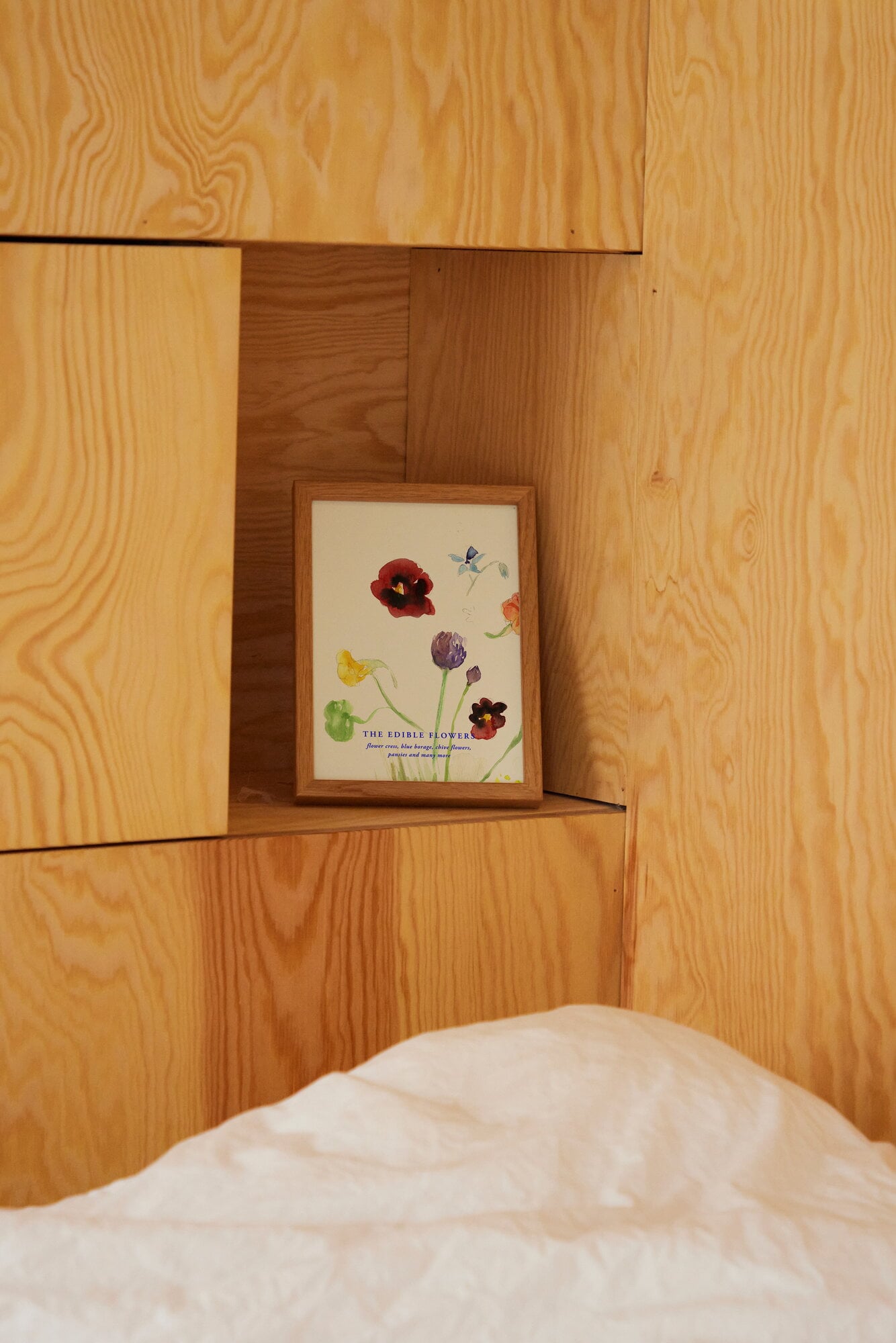 Paper Collective The Edible Flowers juliste | Finnish Design Shop