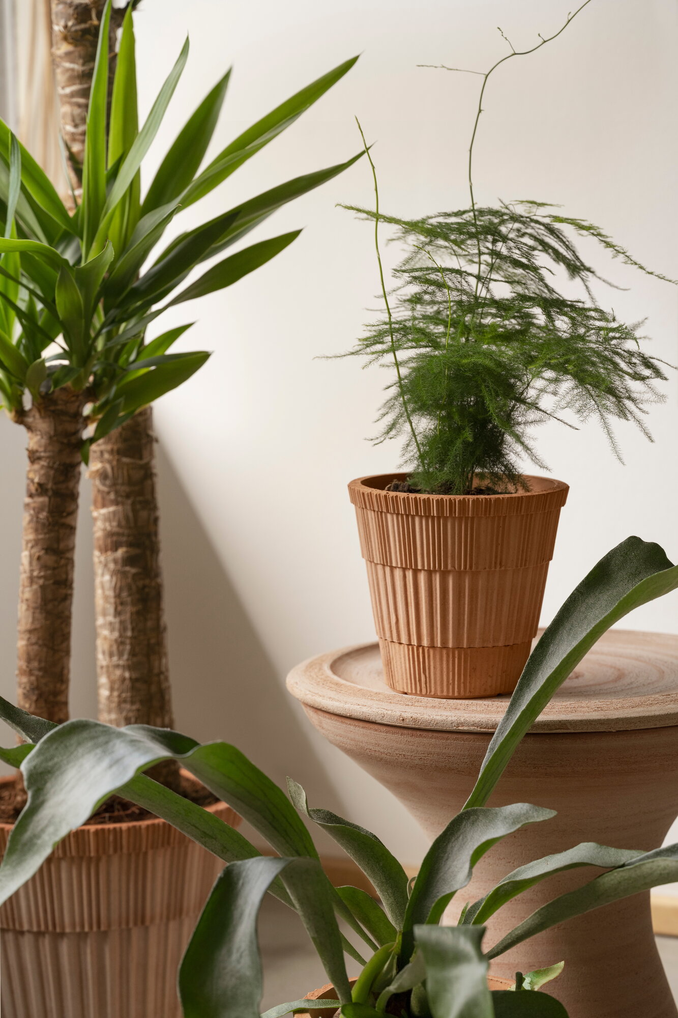 Bergs Potter Atlas flowerpot with saucer, raw rosa | Finnish Design Shop