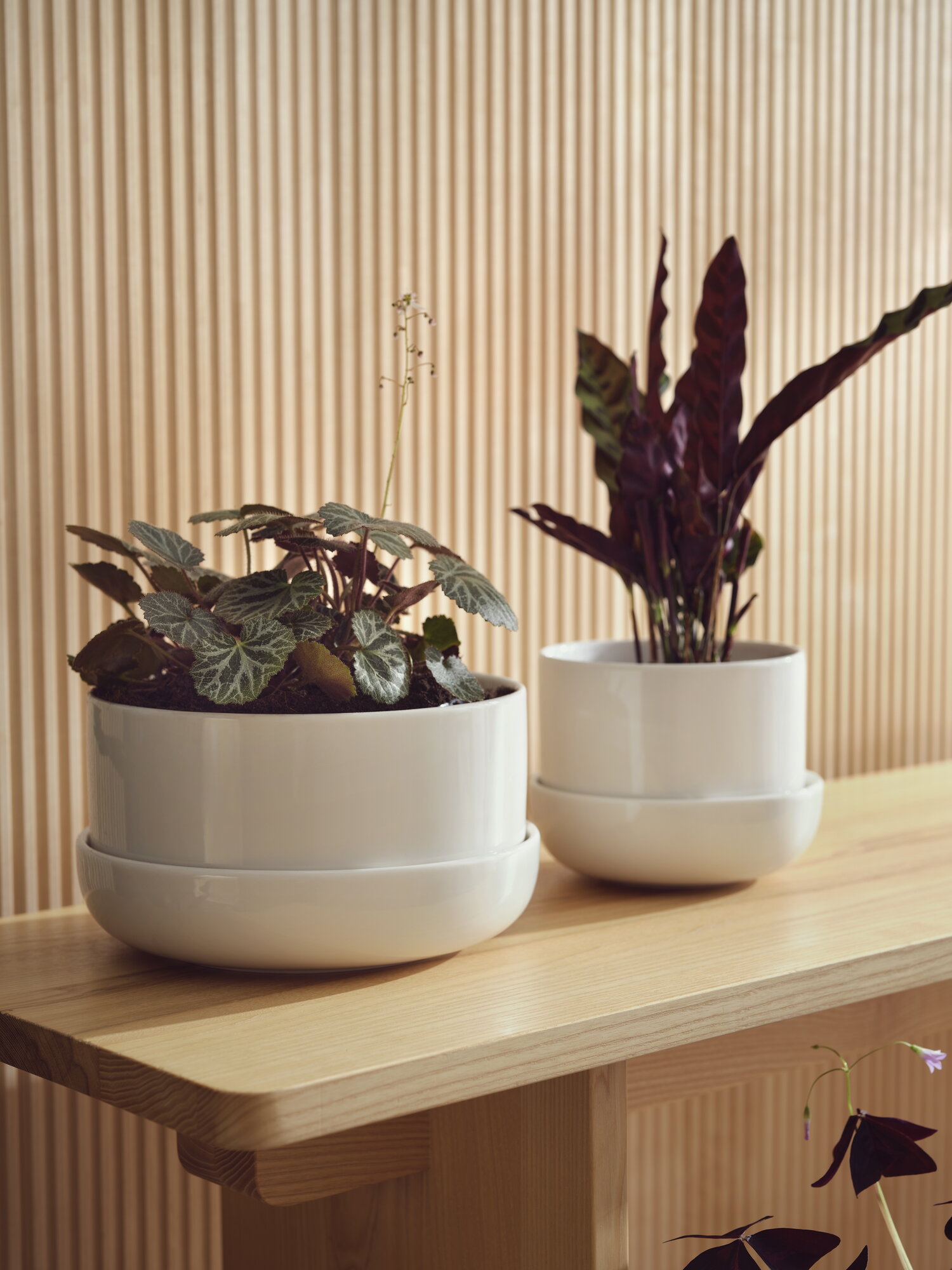 Iittala Nappula plant pot with saucer, M, white | Finnish Design Shop
