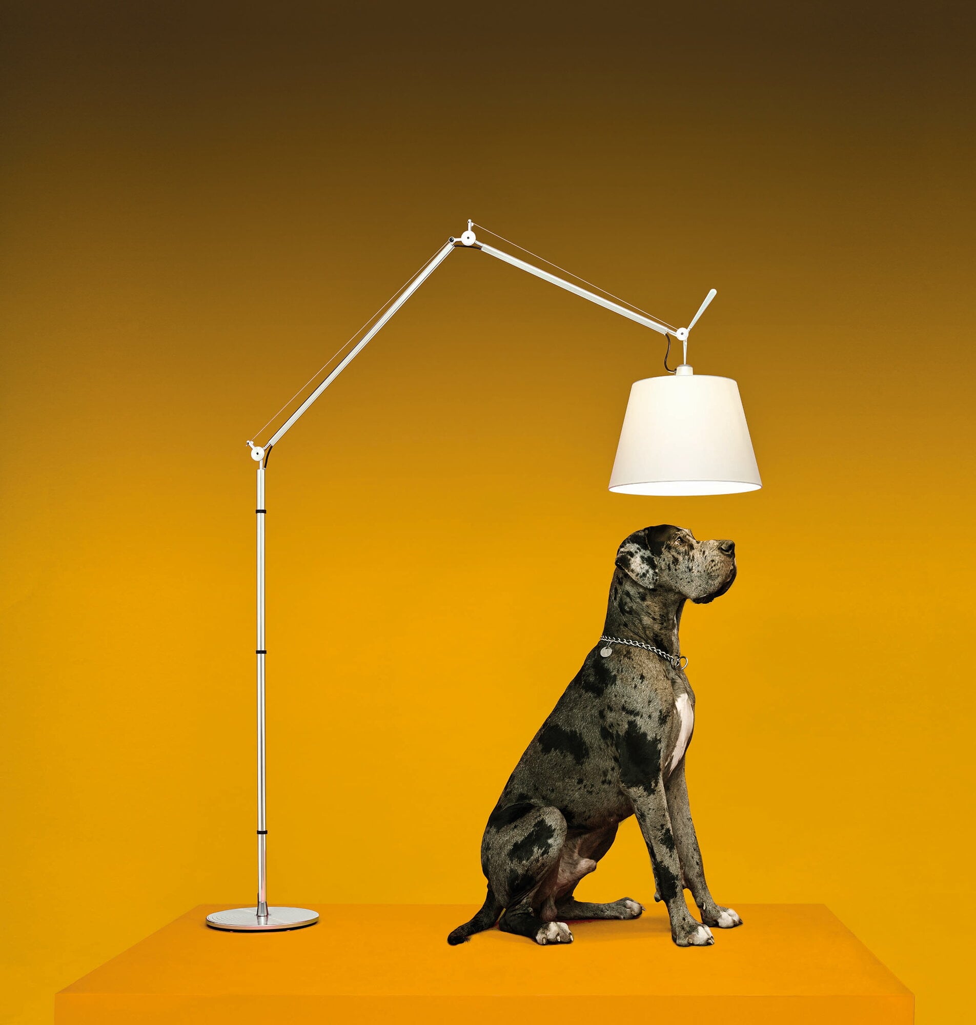 HR764 Artemide アルテミデ Tolomeo トロメオメガ ライト Artemide Tolomeo Mega floor lamp 42 cm, aluminium - silk | Finnish