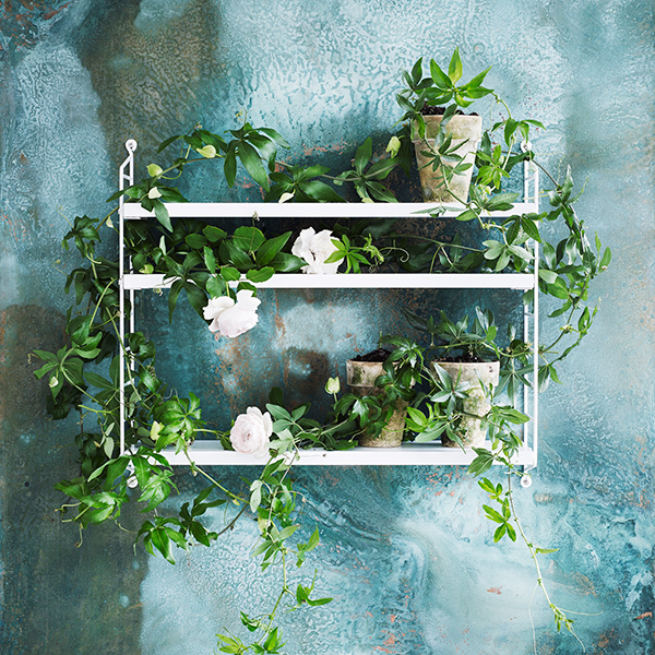 String Furniture String Pocket shelf, white | Finnish Design Shop