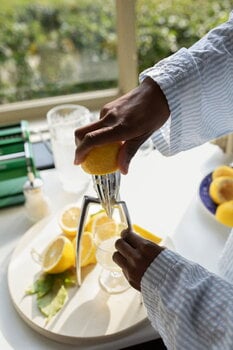 Juicy salif lemon outlet squeezer