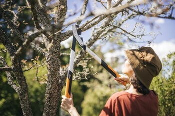 Fiskars Coupe-branches PowerGear X, lame franche, M, LX94, image décorative