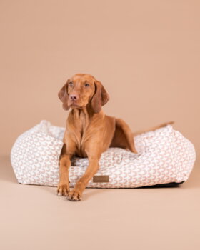 PAIKKA Treasure Bed koiranpeti, 95 x 75 cm, vaaleanpunainen, sisustuskuva