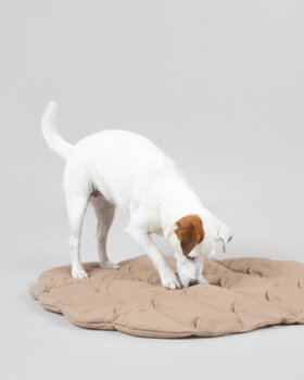 PAIKKA Tappetino gioco per cani Pinecone, taupe, immagine decorativa