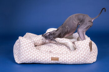 PAIKKA Treasure Bed koiranpeti, 95 x 75 cm, vaaleanpunainen, sisustuskuva