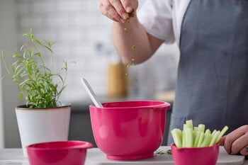 Rosti Margrethe mixing bowl 3 L, beetroot, decoration image