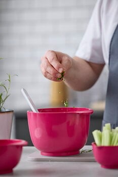 Rosti Margrethe mixing bowl 3 L, beetroot, decoration image