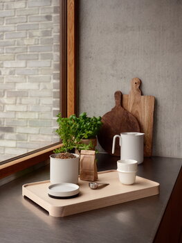 Zone Denmark Vassoio Inu, frassino, immagine decorativa