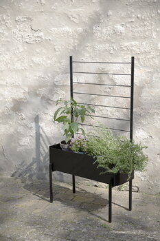 Eva Solo Grigliato per fioriera Simply Grow, nero, immagine decorativa
