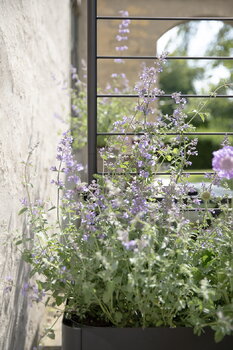 Eva Solo Grigliato per fioriera Simply Grow, nero, immagine decorativa