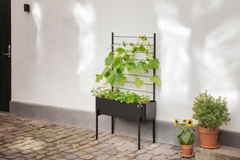 Eva Solo Grigliato per fioriera Simply Grow, nero, immagine decorativa