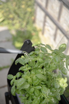 Eva Solo Simply Grow minikasvihuone jalustalla, 80 x 33 cm, musta, sisustuskuva