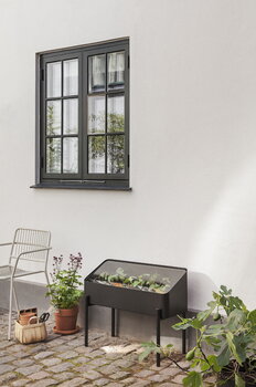Eva Solo Vaso con supporto Simply Grow, 80 x 33 cm, nero, immagine decorativa