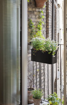 Eva Solo Simply Grow parvekelaatikko, 42 x 20 cm, musta, sisustuskuva