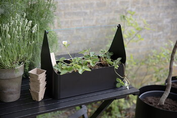 Eva Solo Simply Grow minikasvihuone, 42 x 20 cm, musta, sisustuskuva