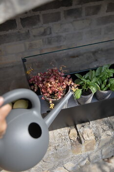 Eva Solo Simply Grow minikasvihuone, 42 x 20 cm, musta, sisustuskuva