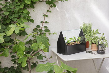Eva Solo Simply Grow minikasvihuone, 42 x 20 cm, musta, sisustuskuva