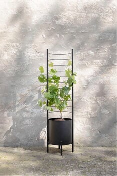 Eva Solo Trellis per vaso Simply Grow, per vaso da 37 cm, nero, immagine decorativa