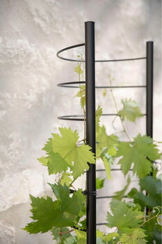 Eva Solo Trellis per vaso Simply Grow, per vaso da 37 cm, nero, immagine decorativa