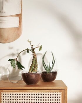 Design House Stockholm Grow mini greenhouse, L