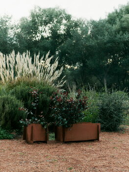 Lapel planter, rectangular, rust