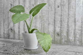 HAY Vaso e sottovaso Flowerpot, XL, grigio